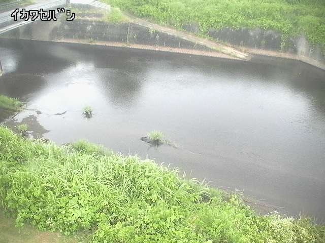 2025年07月10日17時00分の映像