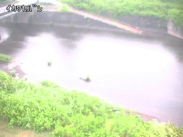 2025年07月10日19時00分の映像