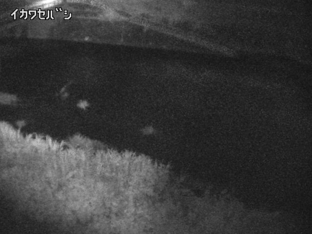 2025年07月11日02時00分の映像