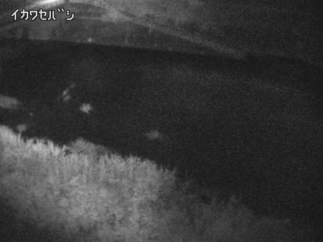 2025年07月11日03時00分の映像