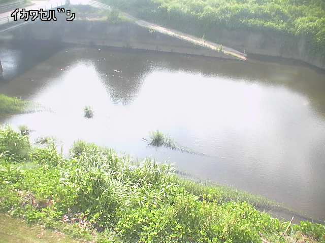 2025年08月04日15時00分の映像
