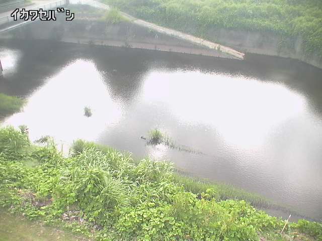 2025年08月04日16時00分の映像
