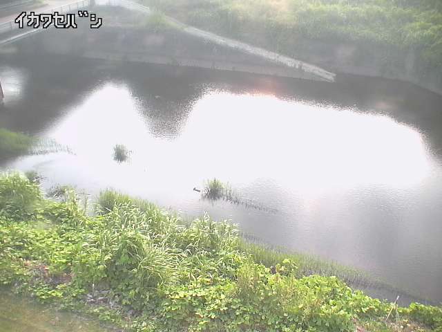 2025年08月04日17時00分の映像