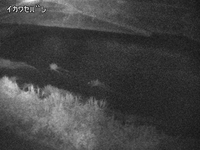 2025年08月04日22時00分の映像