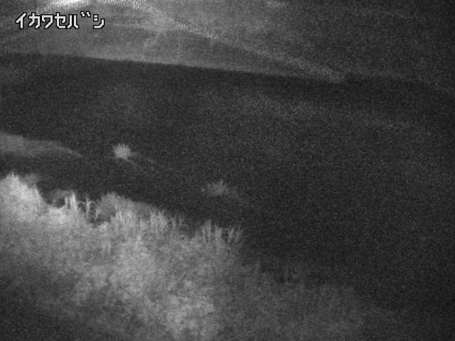 2025年08月04日23時00分の映像