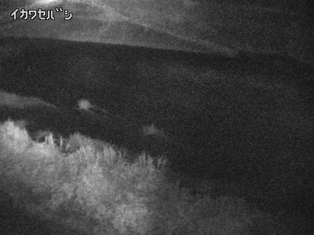 2025年08月05日02時00分の映像