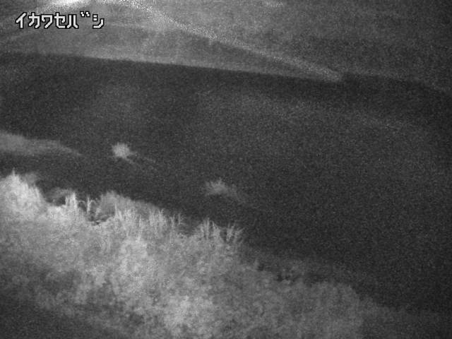 2025年08月05日04時00分の映像