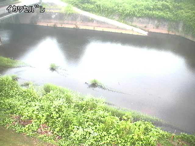 2025年08月05日05時00分の映像