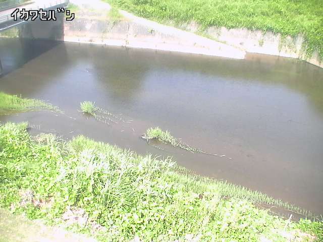 2025年08月05日10時00分の映像
