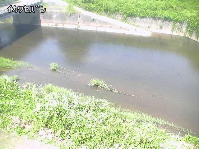 2025年08月05日11時00分の映像