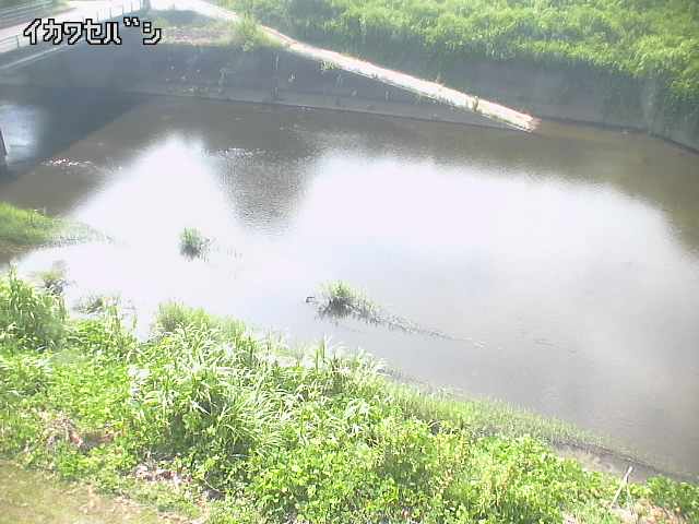 2025年08月05日14時00分の映像