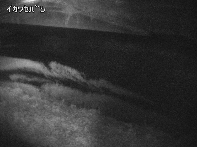 2025年10月01日03時00分の映像