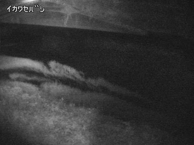 2025年10月01日04時00分の映像