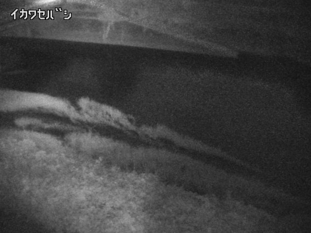 2025年10月01日05時00分の映像