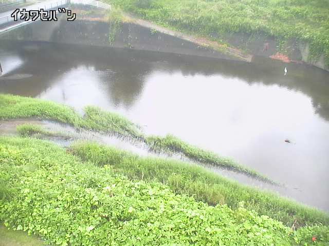 2025年10月01日09時00分の映像