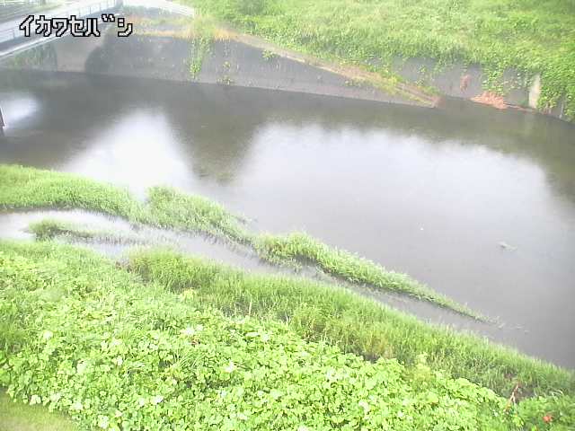 2025年10月01日14時00分の映像