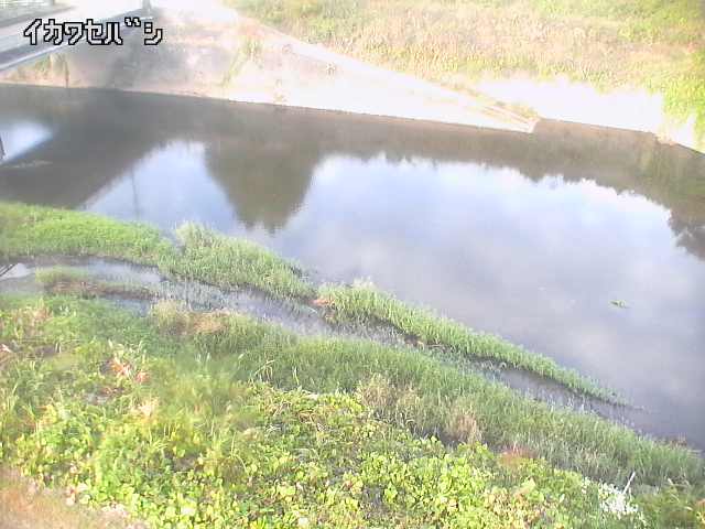 2025年11月15日08時00分の映像