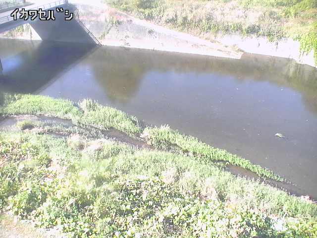 2025年11月15日11時00分の映像