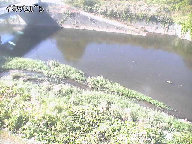 2025年11月15日12時00分の映像