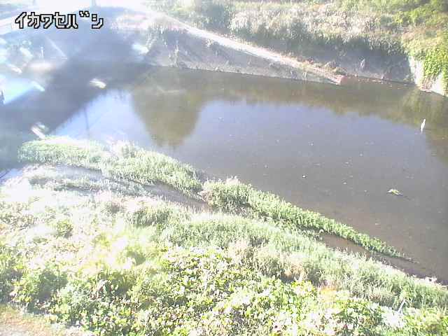 2025年11月15日13時00分の映像