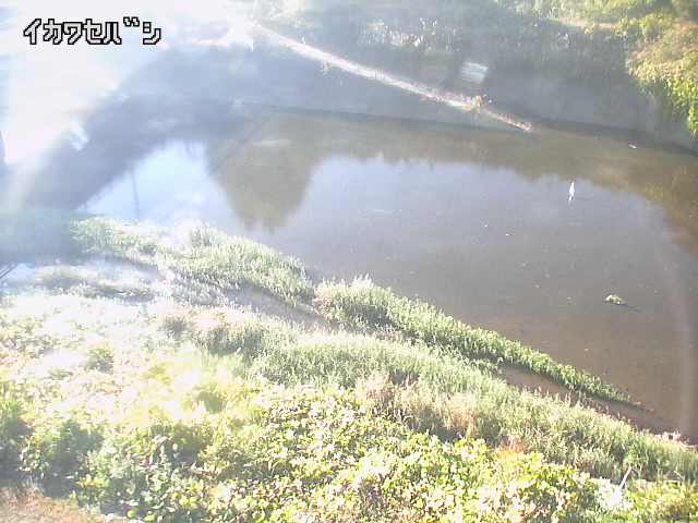 2025年11月15日14時00分の映像