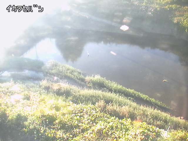 2025年11月15日15時00分の映像