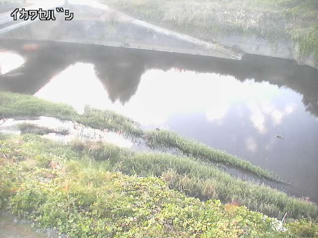 2025年11月15日16時00分の映像