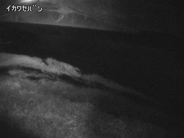 2025年11月15日19時00分の映像