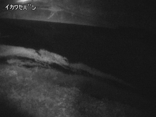 2025年11月16日04時00分の映像