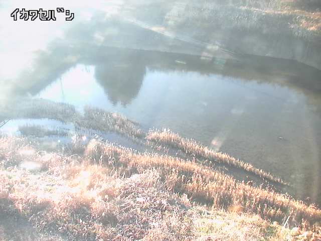 2025年12月30日15時00分の映像