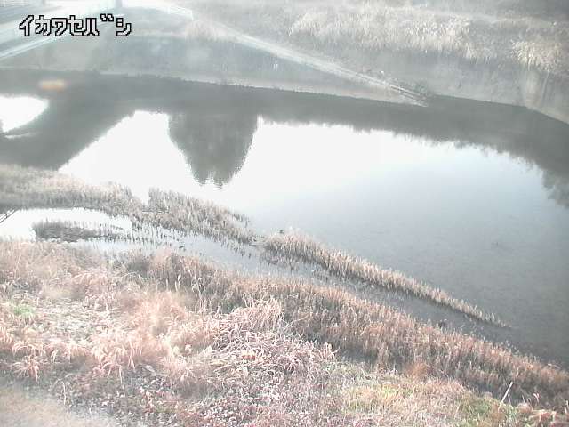 2025年12月30日16時00分の映像