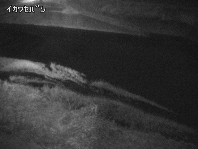 2025年12月30日19時00分の映像