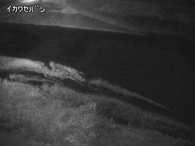 2025年12月30日20時00分の映像