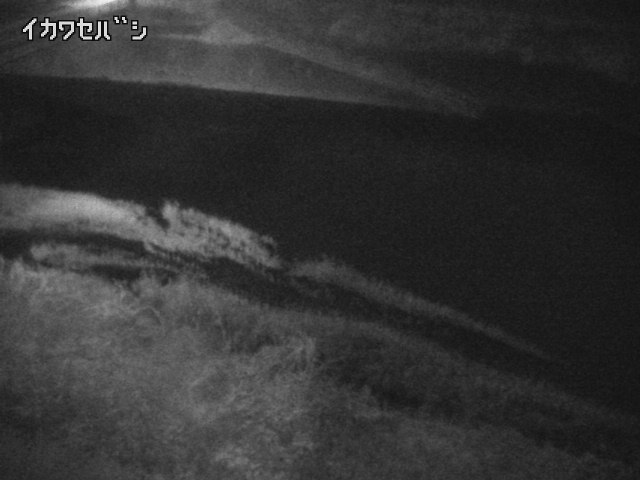 2025年12月30日21時00分の映像