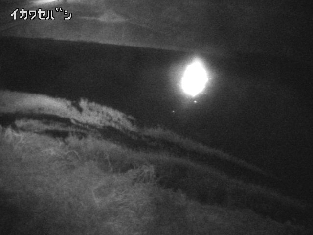 2025年12月31日01時00分の映像