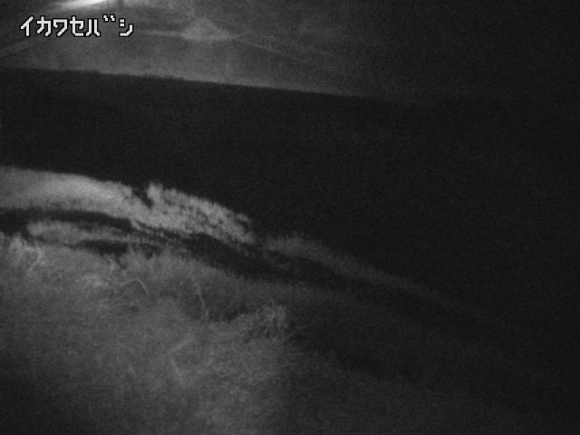 2025年12月31日04時00分の映像