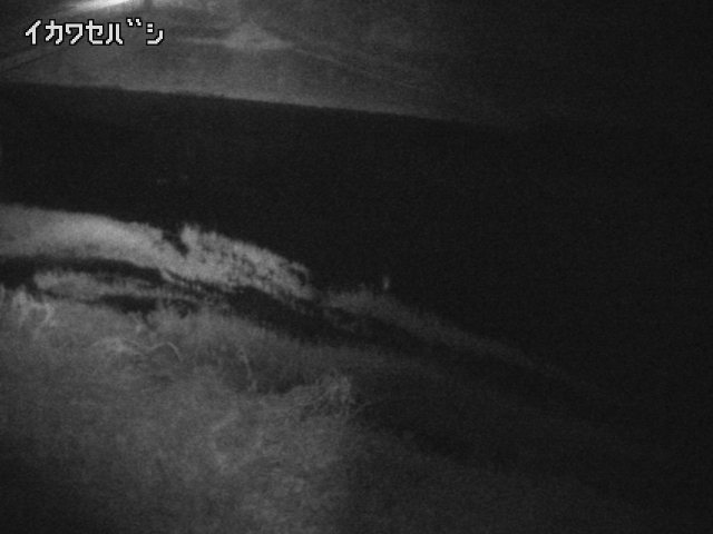 2025年12月31日05時00分の映像