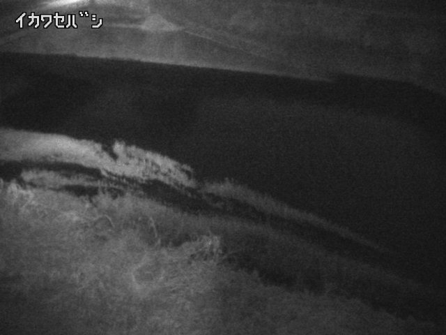 2025年12月31日06時00分の映像