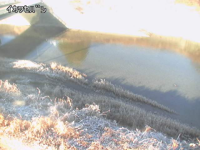 2025年12月31日09時00分の映像