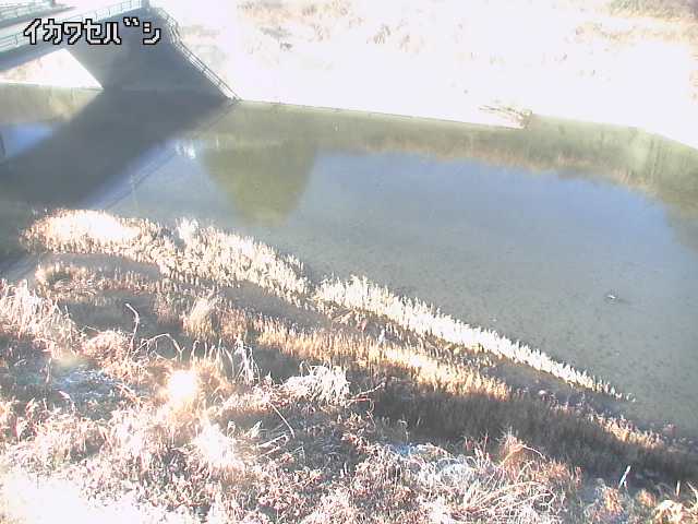 2025年12月31日10時00分の映像