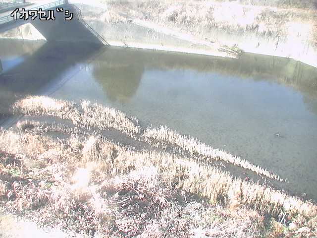 2025年12月31日11時00分の映像