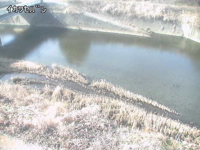 2025年12月31日12時00分の映像