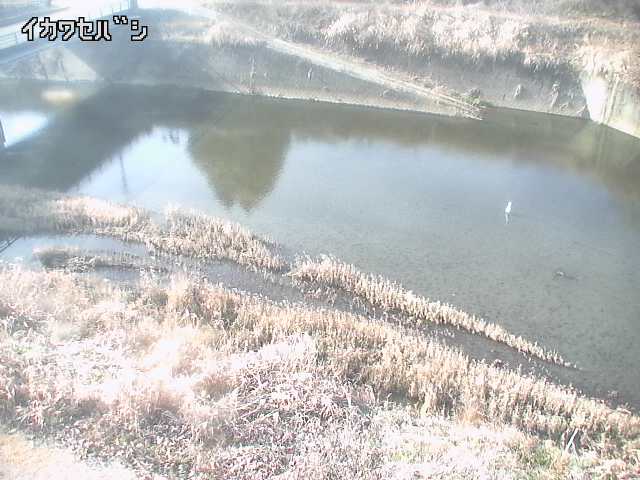 2025年12月31日13時00分の映像