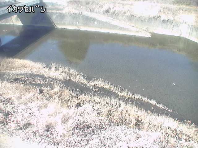 2026年02月14日11時00分の映像