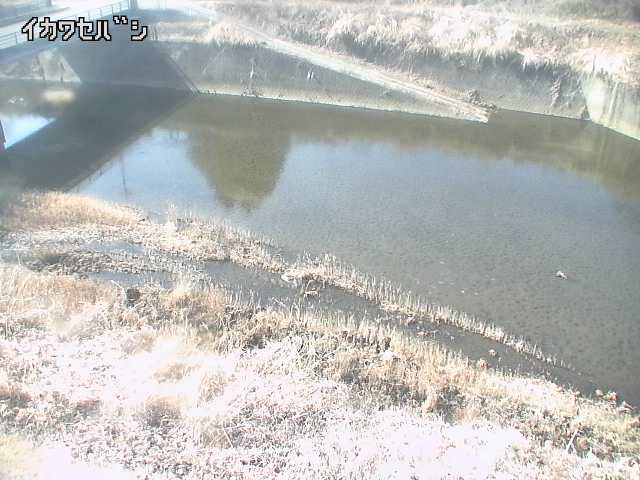 2026年02月14日13時00分の映像