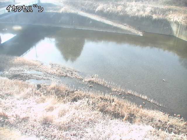 2026年02月14日14時00分の映像