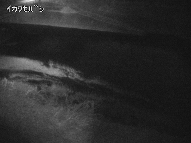 2026年02月14日19時00分の映像