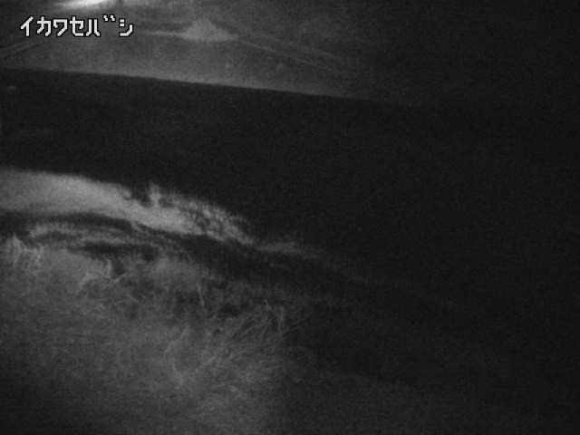 2026年02月15日01時00分の映像