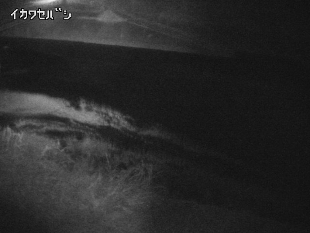 2026年02月15日02時00分の映像