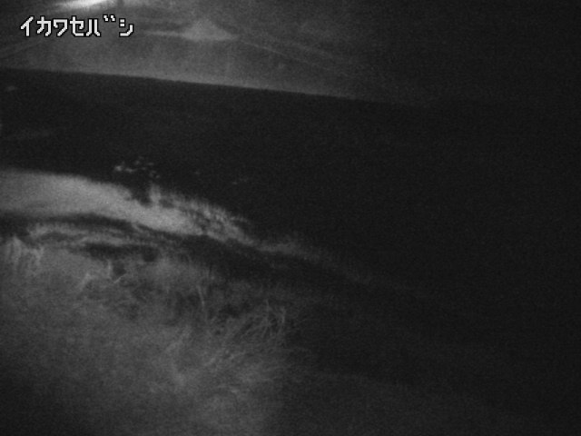 2026年02月15日04時00分の映像